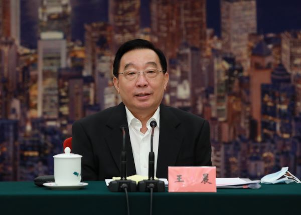 王晨 香港国安法1.jpg