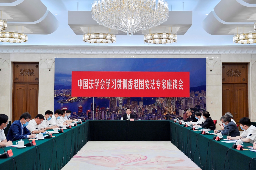 王晨 香港国安法2.jpg